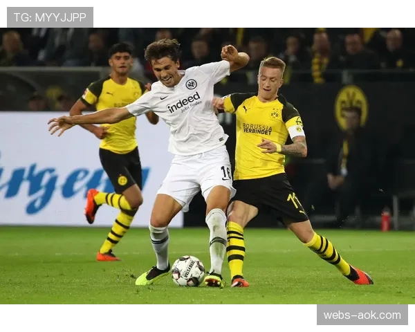 足协杯多特蒙德总比分5-3淘汰法兰克福，布兰特瑞尔森建功